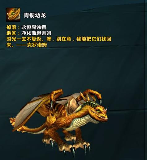 魔兽世界大型副本掉落的坐骑,哪些要英雄本,哪些不要?