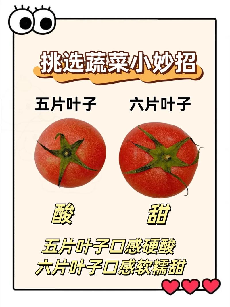 蔬菜挑选小妙招|厨房小白也能轻松买菜