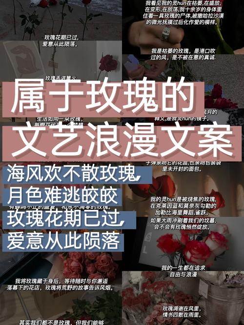娜塔莎玫瑰文案励志(关于玫瑰花的温柔文案)