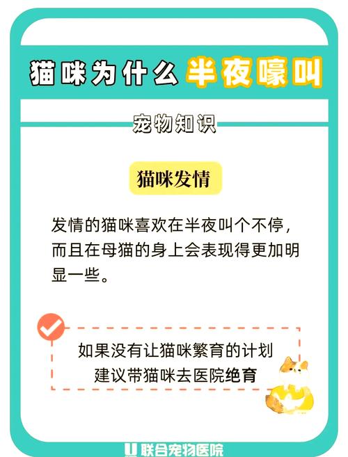 猫咪突然很大声的尖叫,然后躲起来了是为什么啊?