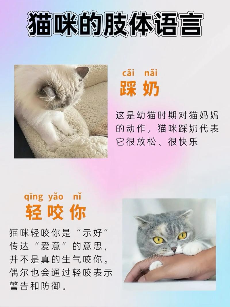 尖叫吧喵星人说话猫怎么不会动怎么办