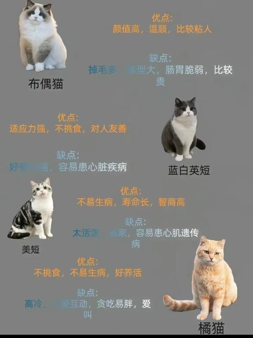 QQ空间尖叫吧喵星人在哪?