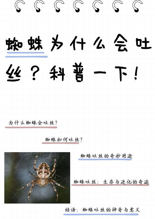 我的世界:mc蜘蛛网的作用,从高处掉落前放上蜘蛛网不会掉血?
