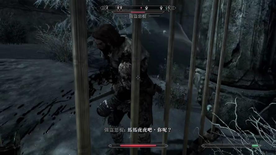 上古卷轴5NPC身上找不到任务物品