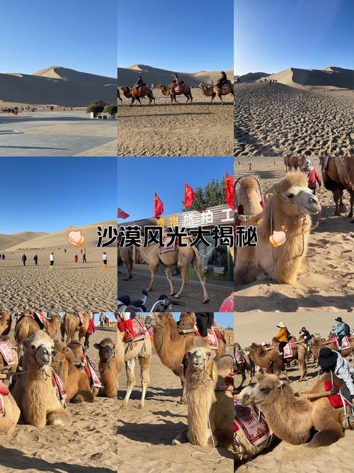 尼尔沙漠遗产照片哪里过不去怎么办