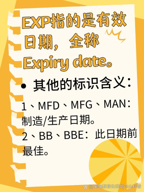 英文exp是什么意思啊?