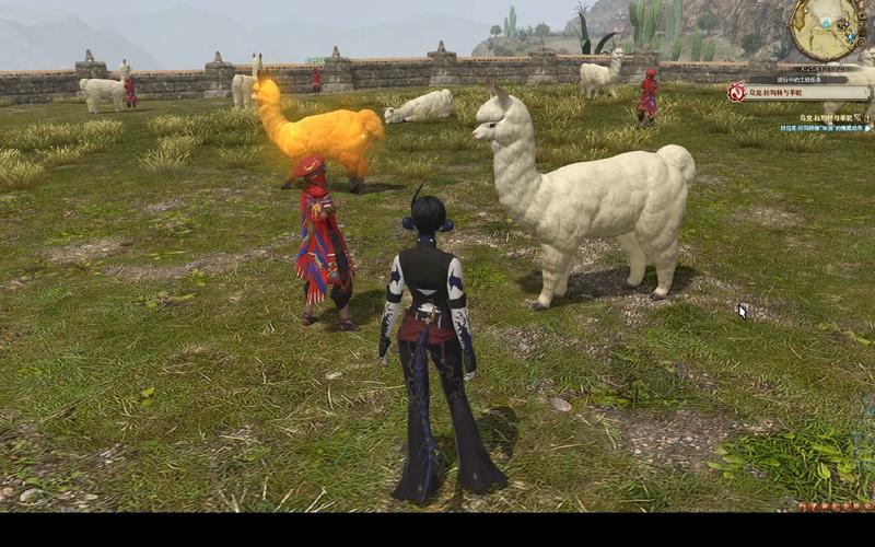 ff14坐骑(ff14坐骑任务在哪)