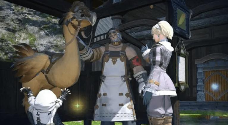 ff14怎么给陆行鸟穿衣服