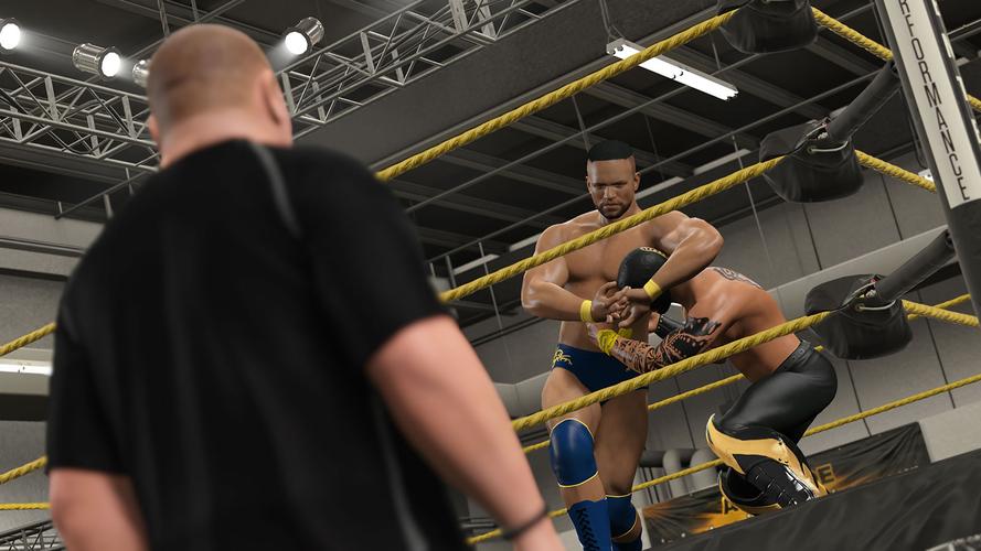 美国职业摔角联盟WWE2K15PC版停止工作进不去解决方法