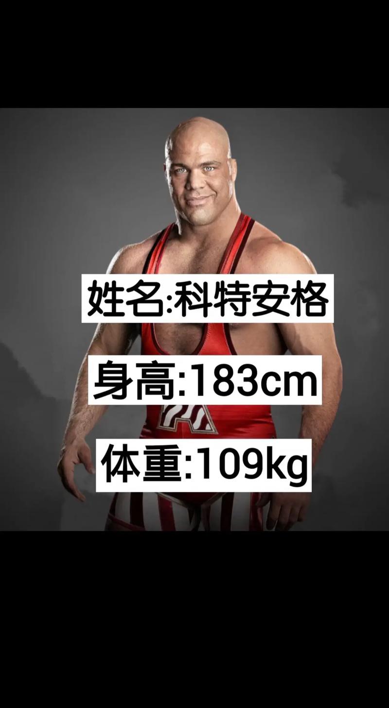 美国职业摔角联盟WWE2K15卡顿慢动作怎么解决介绍_美国职业摔角联盟WWE...