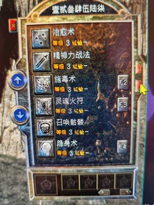 传奇天赋点传奇中属性点加什么好道士