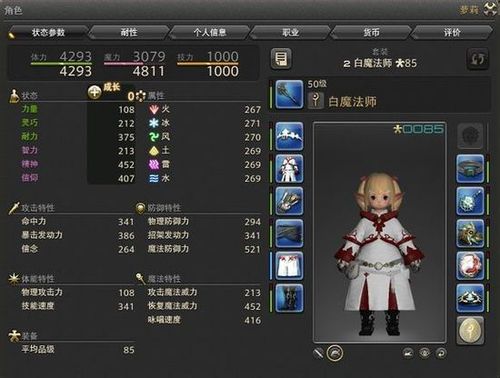 FF14,想直升一个副职,白魔或者学者,哪个好