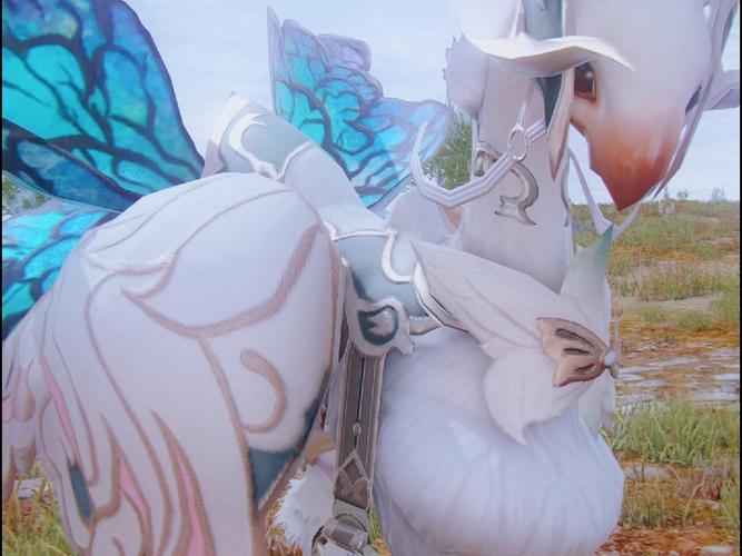 ff14陆行鸟技能怎么加点