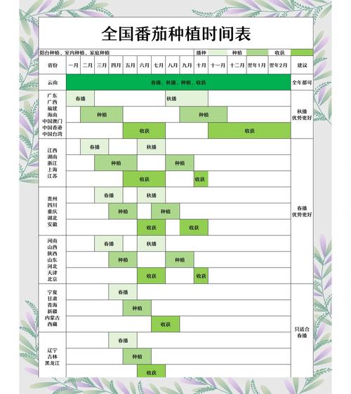 全民小镇作物种植次序攻略