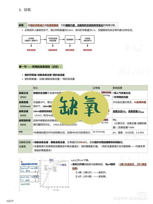 缺氧二氧化碳怎么处理