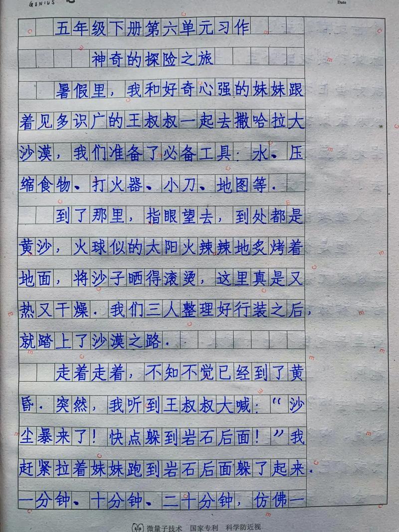 神奇的探险之旅作文