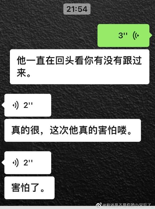 带你回家第10、11、12关攻略带你回家第10-12关怎么过