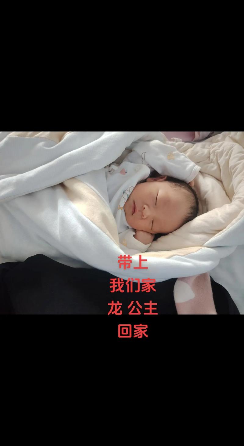 带你回家攻略大全介绍_带你回家攻略大全是什么
