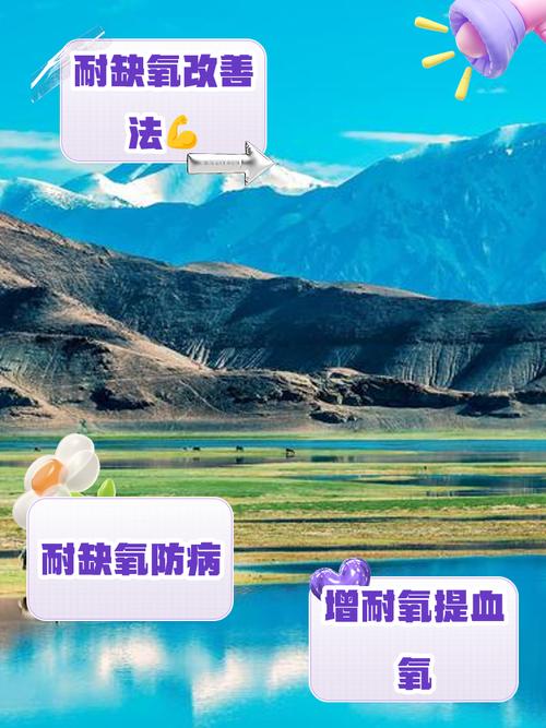 缺氧空调有什么用介绍_缺氧空调有什么用是什么