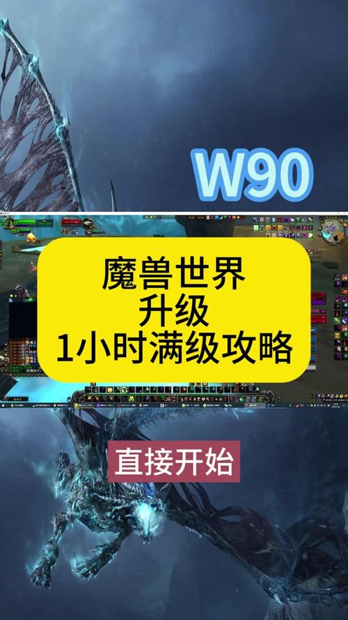LR各等级带什么宠物最实用