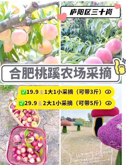 桃园干什么最容易赚钱
