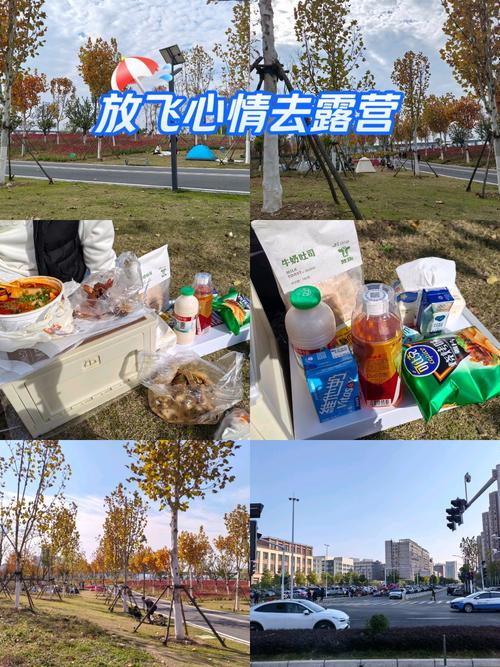 qq炫舞旅行挑战第5关趣味野餐怎么搭配