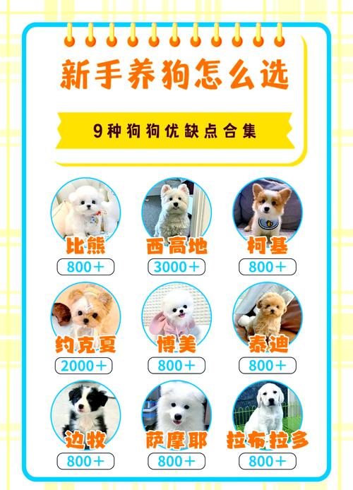 全民农场小狗哈皮喂养攻略