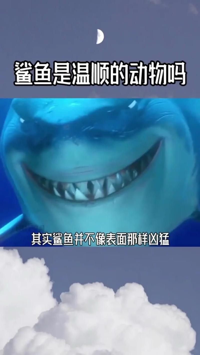 求《捕鱼达人3》鲨鱼拔牙玩法详解