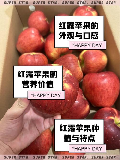 幻想神域新鲜的红苹果作用介绍