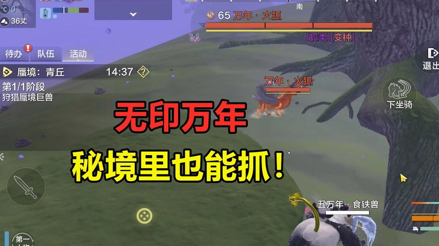 妄想山海秘境有什么奖励-秘境奖励一览