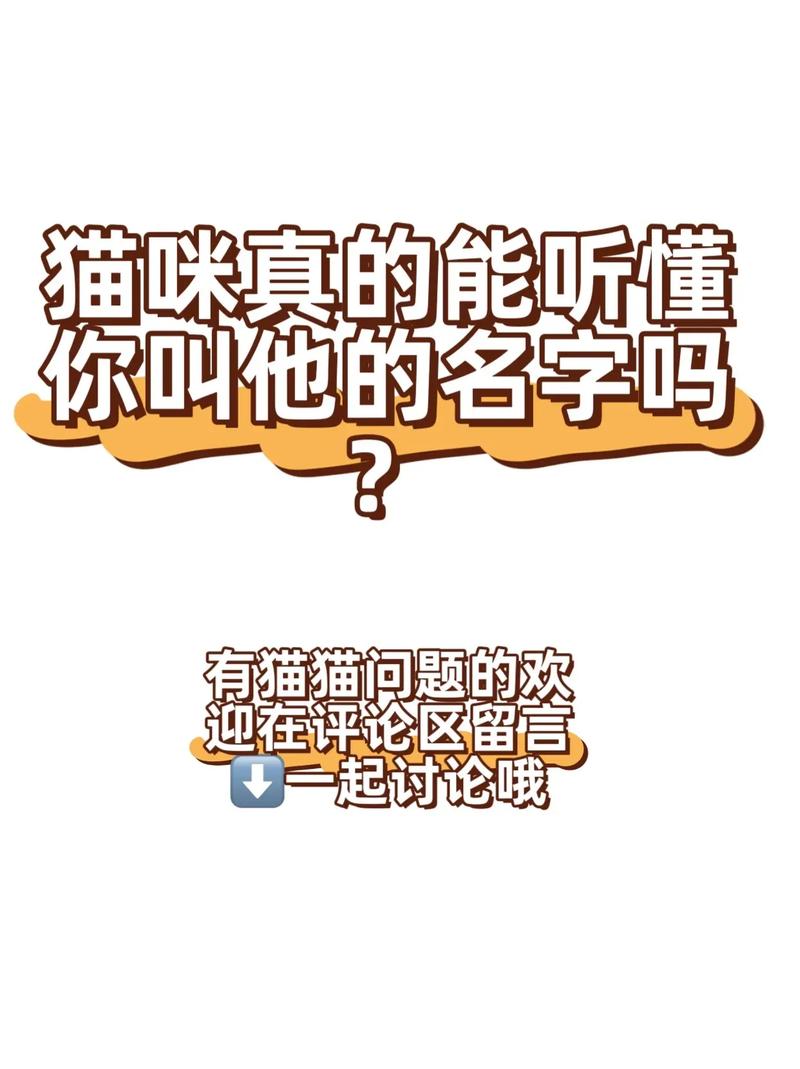 qq空间尖叫吧喵星人怎么不能玩了