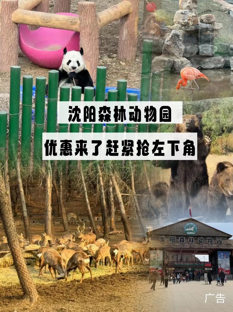 沈阳森林动物公园门票价格?