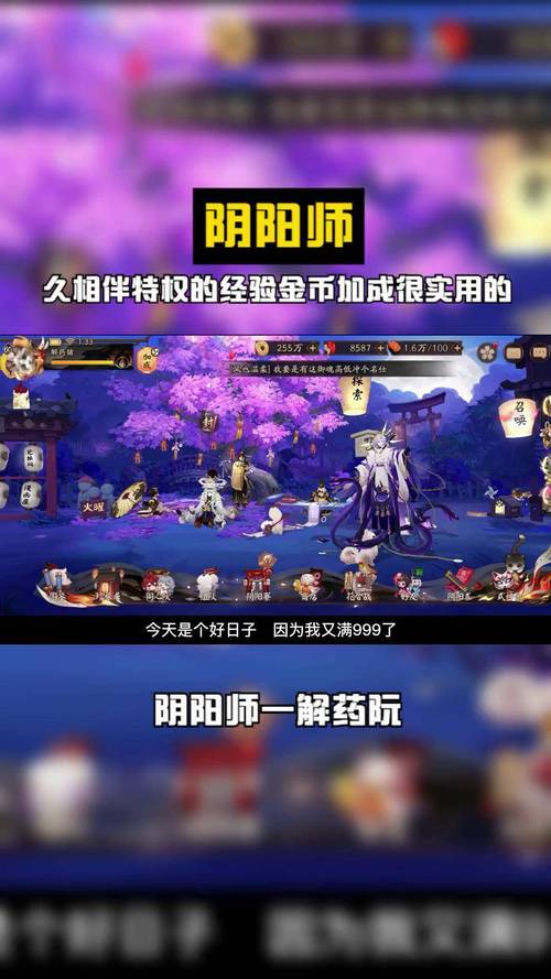 阴阳师50金币加成怎么拿到