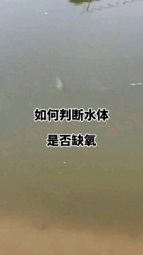 如何使水缺氧