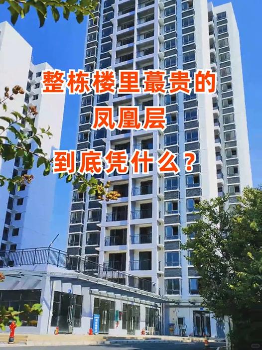 凤凰层有哪些好处推荐购买吗