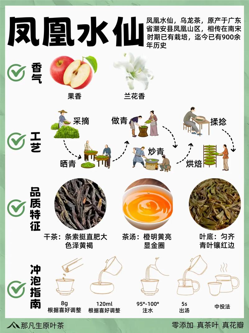 凤凰水仙茶的功效与作用是什么