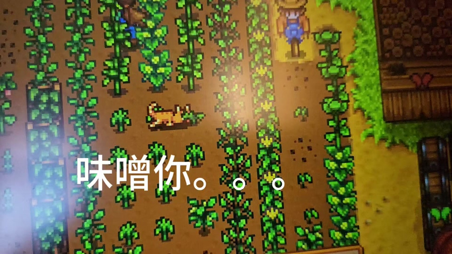 星露谷物语睡不了觉bug