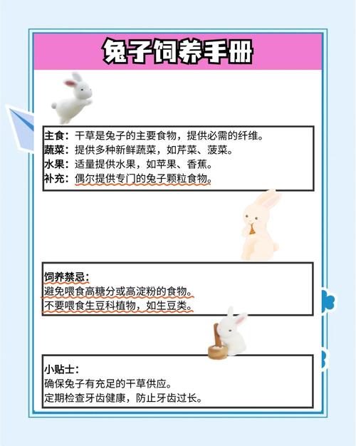 自己怎么配兔子精饲料?