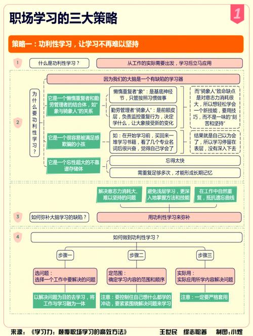 你觉得最高效的学习方法是什么?