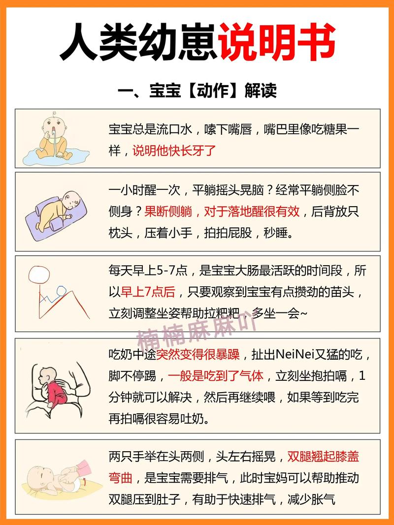 “人类幼崽”养成攻略(上)