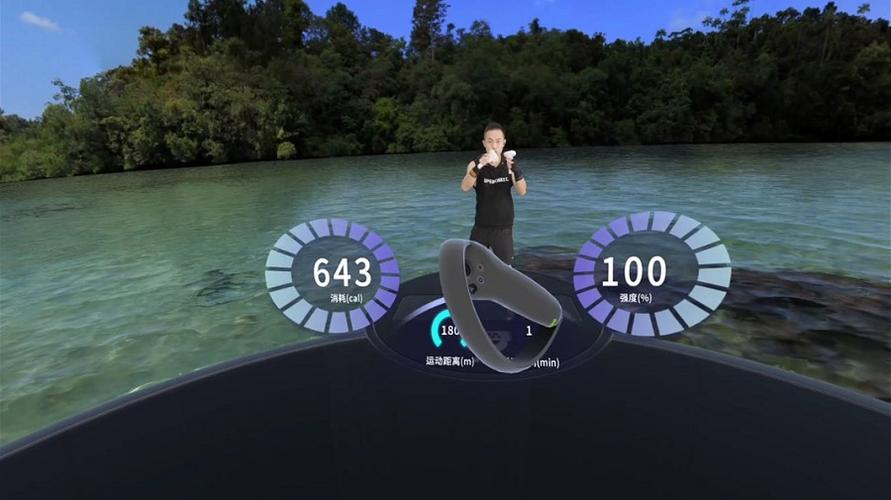 pico4steamvr界面特别卡