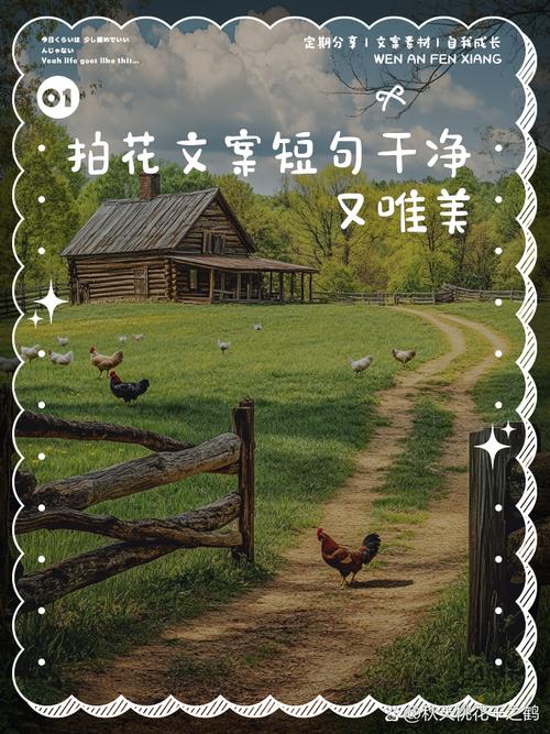 春天拍花发朋友圈的句子
