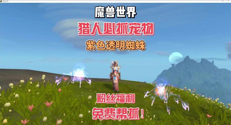 魔兽世界怎么快速升级小宠物WOW小宠物升级?