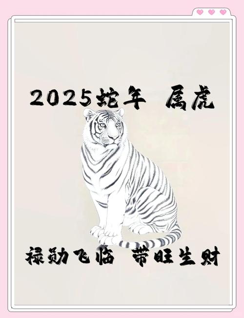 属虎2025年4月17日财运