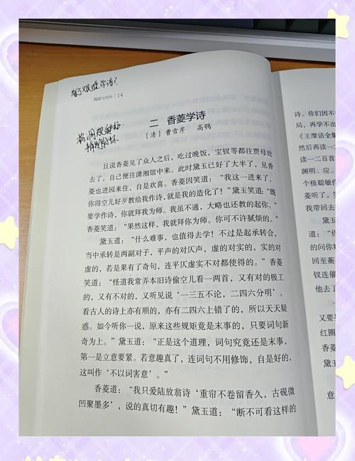 关于《香菱学诗》