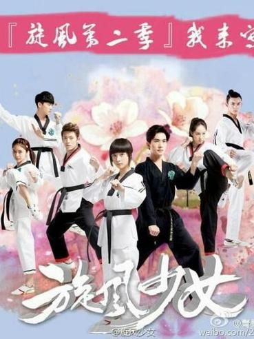 旋风少女第三部讲的是什么,最后的结局是什么