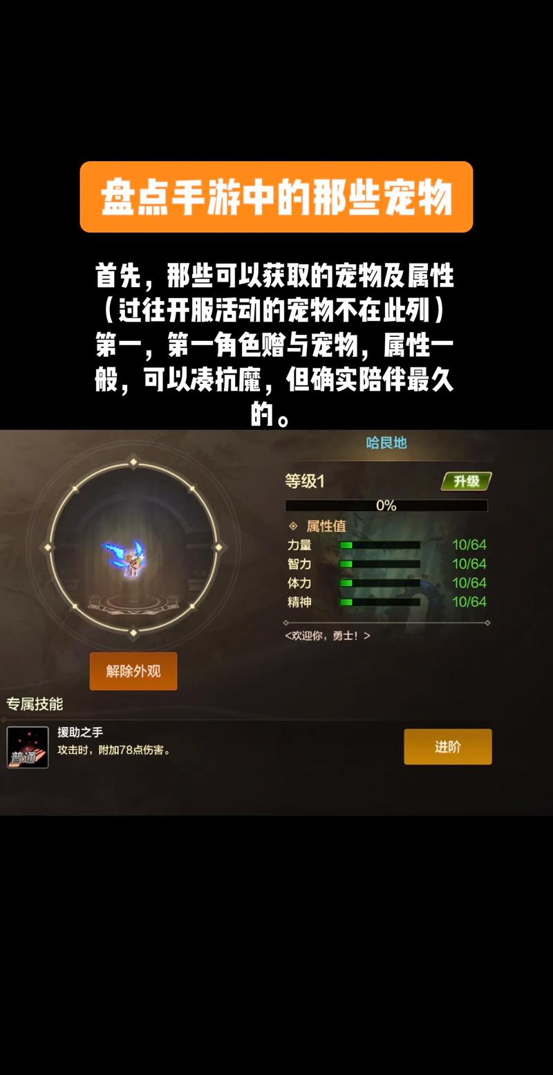梦想宠物装备礼盒怎么获得，梦想世界宠物作战心得