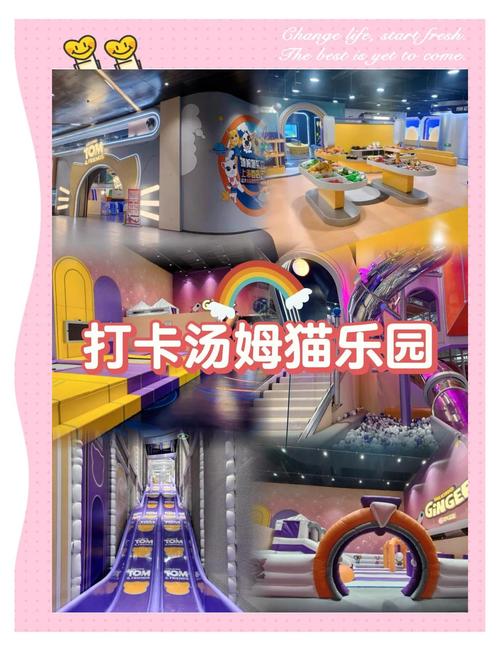 汤姆猫游戏,解锁欢乐时光的全面攻略