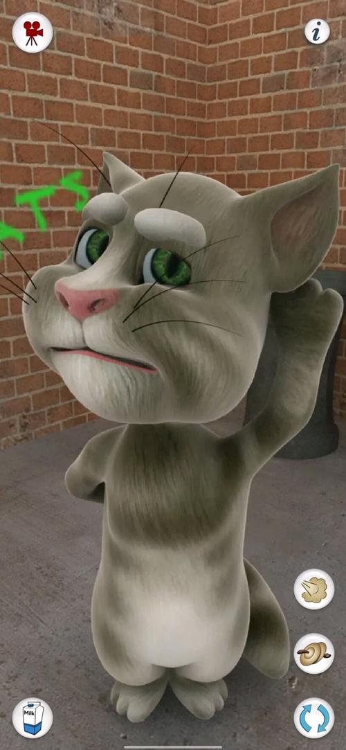 《会说话的汤姆猫》玩法和特色是什么?