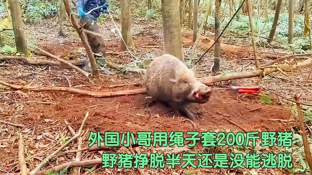 怎么快速做假野猪套